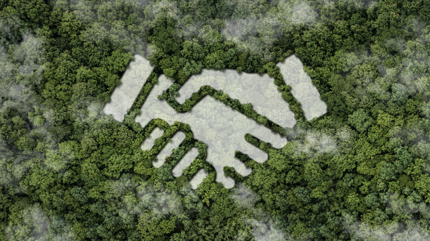 Symbol für Händeschütteln auf grünem Waldhintergrund, nachhaltiges Business